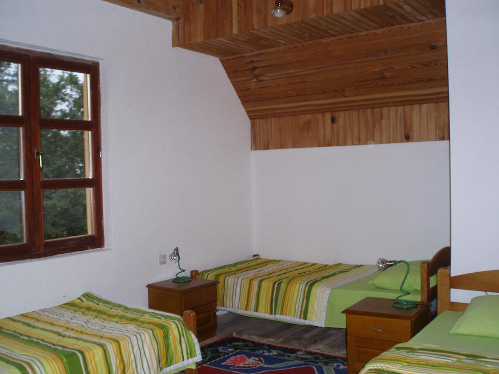 Guest House Tara Canyon Плєвля Номер фото