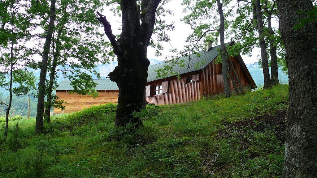 Guest House Tara Canyon Плєвля Екстер'єр фото