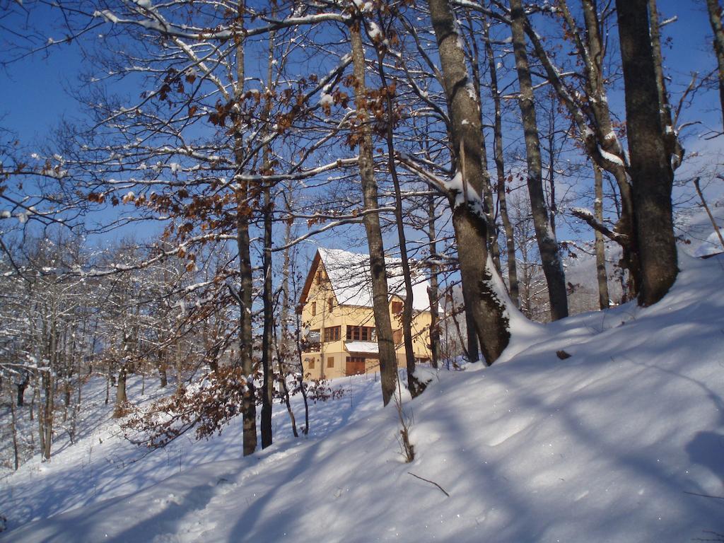 Guest House Tara Canyon Плєвля Екстер'єр фото