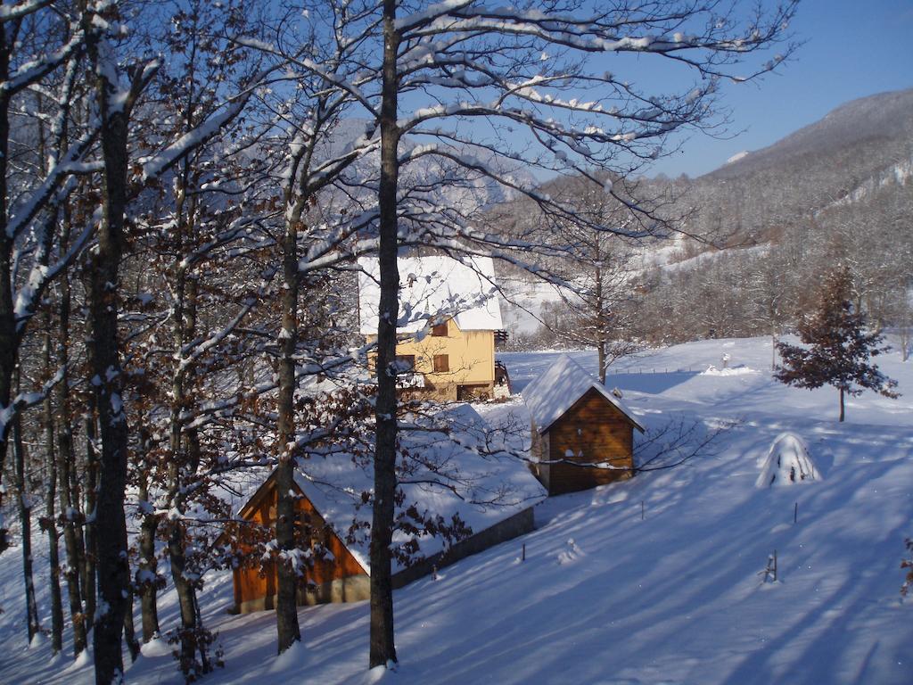 Guest House Tara Canyon Плєвля Екстер'єр фото